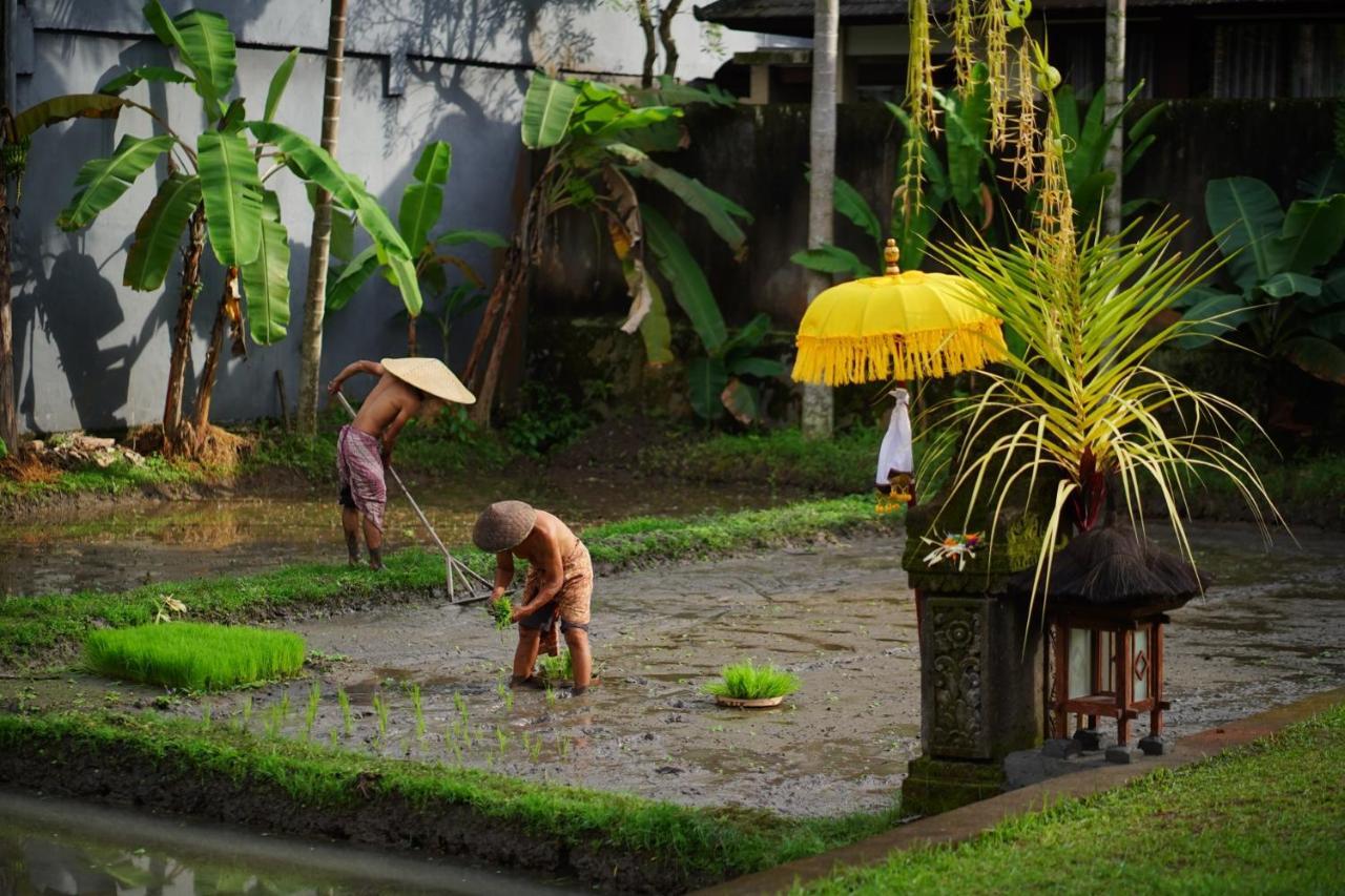 Umae Villa Ubud Exterior photo